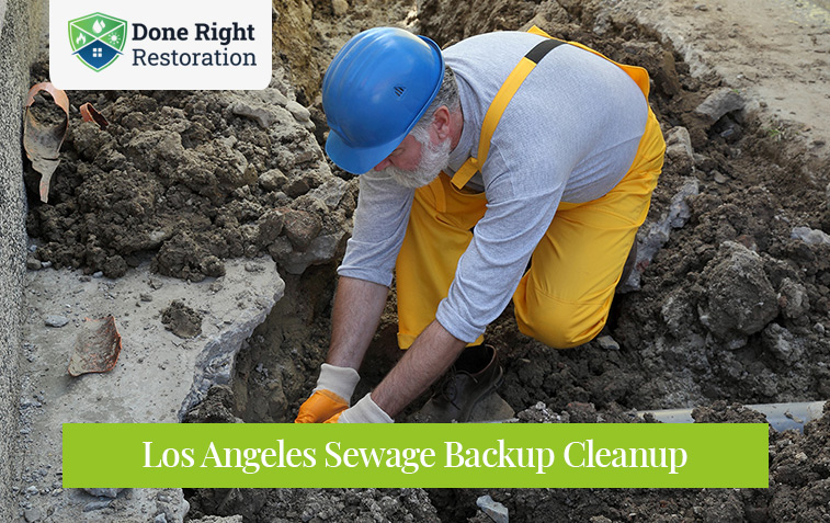 Los Angeles Sewage Backup Cleanup