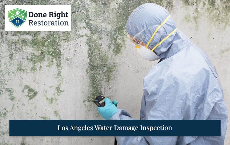 Los Angeles Water Damage Inspection